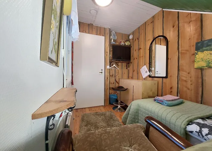 120 Yrs. Old Log House In Centre 民宿 库奥皮奥