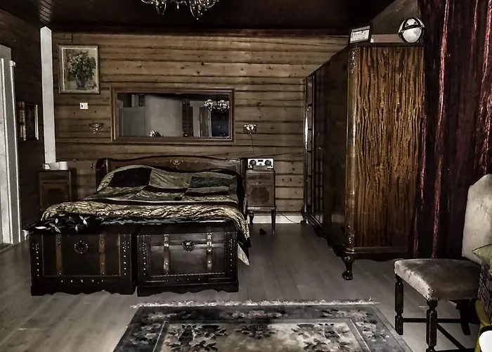 民宿 120 Yrs. Old Log House In Centre