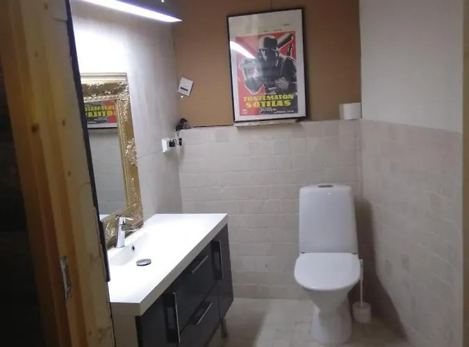 120 Yrs. Old Log House In Centre 民宿 库奥皮奥